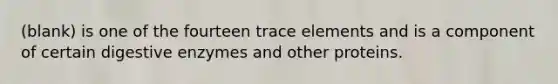 (blank) is one of the fourteen trace elements and is a component of certain <a href='https://www.questionai.com/knowledge/kK14poSlmL-digestive-enzymes' class='anchor-knowledge'>digestive enzymes</a> and other proteins.