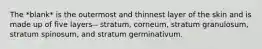 The *blank* is the outermost and thinnest layer of the skin and is made up of five layers-- stratum, corneum, stratum granulosum, stratum spinosum, and stratum germinativum.