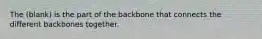 The (blank) is the part of the backbone that connects the different backbones together.