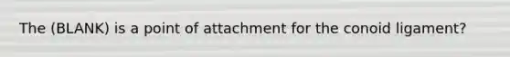 The (BLANK) is a point of attachment for the conoid ligament?