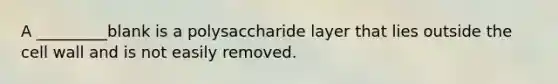 A _________blank is a polysaccharide layer that lies outside the cell wall and is not easily removed.