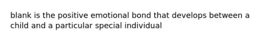 blank is the positive emotional bond that develops between a child and a particular special individual