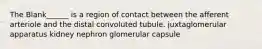 The Blank______ is a region of contact between the afferent arteriole and the distal convoluted tubule. juxtaglomerular apparatus kidney nephron glomerular capsule