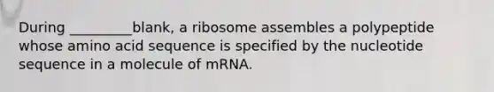 During _________blank, a ribosome assembles a polypeptide whose amino acid sequence is specified by the nucleotide sequence in a molecule of mRNA.