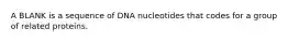 A BLANK is a sequence of DNA nucleotides that codes for a group of related proteins.