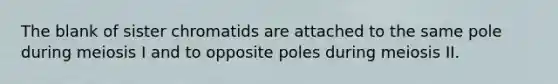 The blank of sister chromatids are attached to the same pole during meiosis I and to opposite poles during meiosis II.