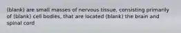 (blank) are small masses of nervous tissue, consisting primarily of (blank) cell bodies, that are located (blank) the brain and spinal cord