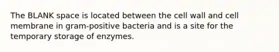 The BLANK space is located between the cell wall and cell membrane in gram-positive bacteria and is a site for the temporary storage of enzymes.