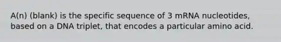 A(n) (blank) is the specific sequence of 3 mRNA nucleotides, based on a DNA triplet, that encodes a particular amino acid.