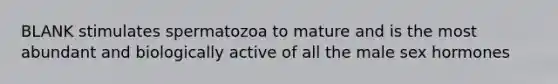 BLANK stimulates spermatozoa to mature and is the most abundant and biologically active of all the male sex hormones