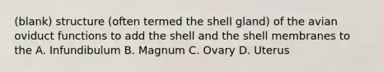 (blank) structure (often termed the shell gland) of the avian oviduct functions to add the shell and the shell membranes to the A. Infundibulum B. Magnum C. Ovary D. Uterus