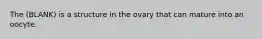 The (BLANK) is a structure in the ovary that can mature into an oocyte.