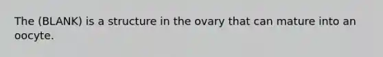 The (BLANK) is a structure in the ovary that can mature into an oocyte.