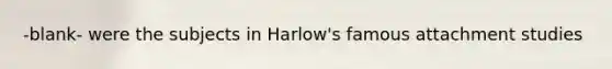 -blank- were the subjects in Harlow's famous attachment studies