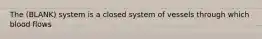 The (BLANK) system is a closed system of vessels through which blood flows