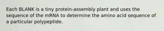 Each BLANK is a tiny protein-assembly plant and uses the sequence of the mRNA to determine the amino acid sequence of a particular polypeptide.