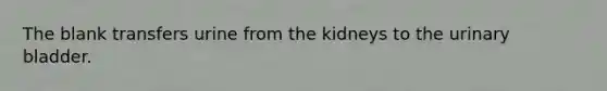 The blank transfers urine from the kidneys to the urinary bladder.