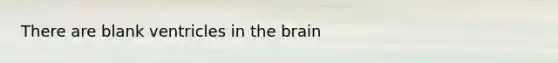 There are blank ventricles in the brain