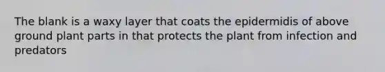 The blank is a waxy layer that coats the epidermidis of above ground plant parts in that protects the plant from infection and predators