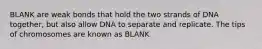 BLANK are weak bonds that hold the two strands of DNA together, but also allow DNA to separate and replicate. The tips of chromosomes are known as BLANK