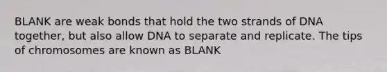 BLANK are weak bonds that hold the two strands of DNA together, but also allow DNA to separate and replicate. The tips of chromosomes are known as BLANK