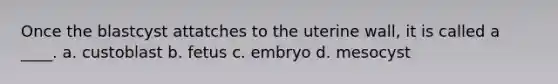 Once the blastcyst attatches to the uterine wall, it is called a ____. a. custoblast b. fetus c. embryo d. mesocyst