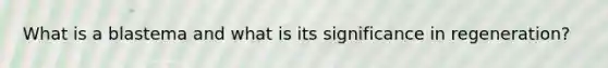What is a blastema and what is its significance in regeneration?