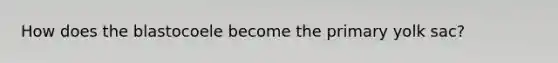 How does the blastocoele become the primary yolk sac?