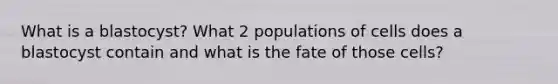 What is a blastocyst? What 2 populations of cells does a blastocyst contain and what is the fate of those cells?