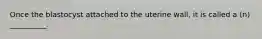 Once the blastocyst attached to the uterine wall, it is called a (n) __________.