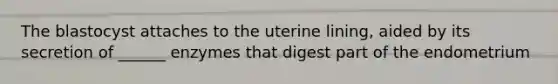 The blastocyst attaches to the uterine lining, aided by its secretion of ______ enzymes that digest part of the endometrium