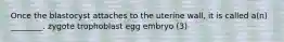 Once the blastocyst attaches to the uterine wall, it is called a(n) ________. zygote trophoblast egg embryo (3)