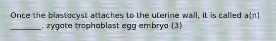 Once the blastocyst attaches to the uterine wall, it is called a(n) ________. zygote trophoblast egg embryo (3)