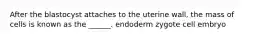 After the blastocyst attaches to the uterine wall, the mass of cells is known as the ______. endoderm zygote cell embryo