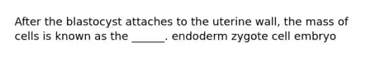 After the blastocyst attaches to the uterine wall, the mass of cells is known as the ______. endoderm zygote cell embryo