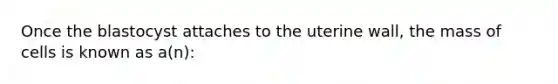 Once the blastocyst attaches to the uterine wall, the mass of cells is known as a(n):