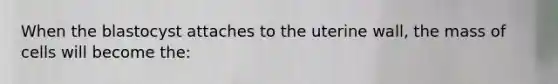 When the blastocyst attaches to the uterine wall, the mass of cells will become the: