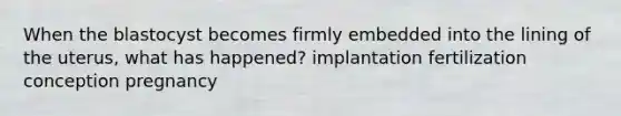 When the blastocyst becomes firmly embedded into the lining of the uterus, what has happened? implantation fertilization conception pregnancy