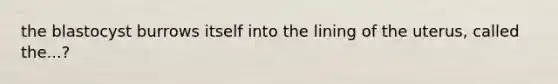 the blastocyst burrows itself into the lining of the uterus, called the...?
