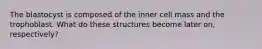 The blastocyst is composed of the inner cell mass and the trophoblast. What do these structures become later on, respectively?