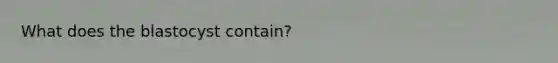 What does the blastocyst contain?