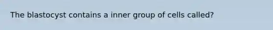 The blastocyst contains a inner group of cells called?