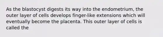 As the blastocyst digests its way into the endometrium, the outer layer of cells develops finger-like extensions which will eventually become the placenta. This outer layer of cells is called the