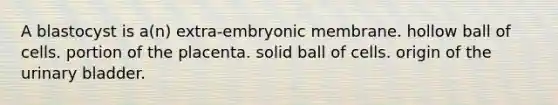 A blastocyst is a(n) extra-embryonic membrane. hollow ball of cells. portion of the placenta. solid ball of cells. origin of the urinary bladder.