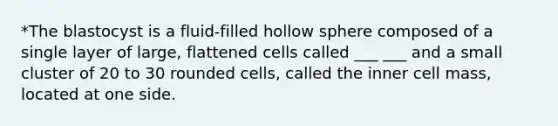 *The blastocyst is a fluid-filled hollow sphere composed of a single layer of large, flattened cells called ___ ___ and a small cluster of 20 to 30 rounded cells, called the inner cell mass, located at one side.