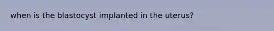 when is the blastocyst implanted in the uterus?