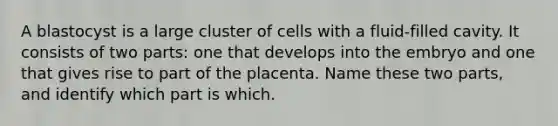 A blastocyst is a large cluster of cells with a fluid-filled cavity. It consists of two parts: one that develops into the embryo and one that gives rise to part of the placenta. Name these two parts, and identify which part is which.