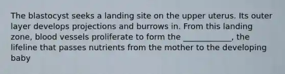 The blastocyst seeks a landing site on the upper uterus. Its outer layer develops projections and burrows in. From this landing zone, blood vessels proliferate to form the ____________, the lifeline that passes nutrients from the mother to the developing baby