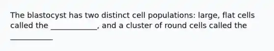 The blastocyst has two distinct cell populations: large, flat cells called the ____________, and a cluster of round cells called the ___________