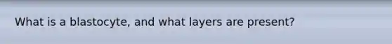 What is a blastocyte, and what layers are present?